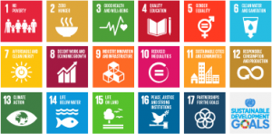 SDGs-grid-transparent